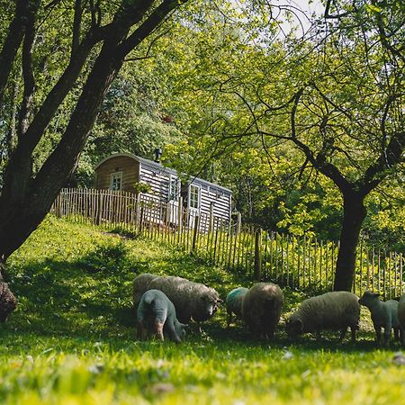 Winsham Somerset Shepherds Huts מראה חיצוני תמונה